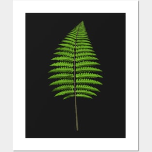 Fern leave illustration Posters and Art